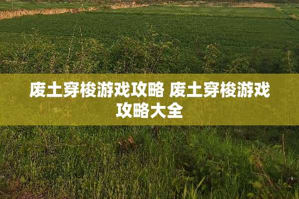 废土穿梭游戏攻略 废土穿梭游戏攻略大全