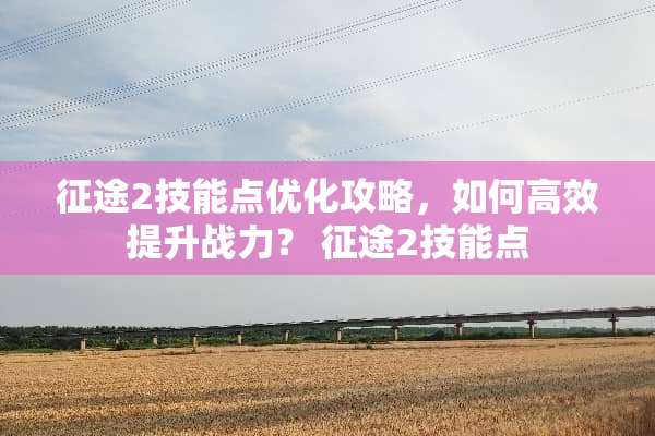 **2技能点优化攻略，如何高效提升战力？ **2技能点