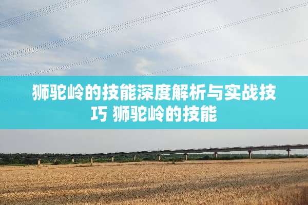狮驼岭的技能深度解析与实战技巧 狮驼岭的技能