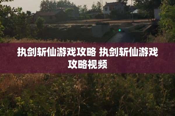 执剑斩仙游戏攻略 执剑斩仙游戏攻略视频