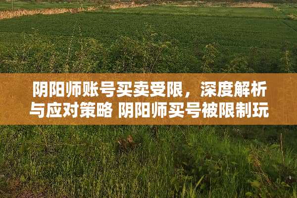 *阳师账号买卖受限，深度解析与应对策略 *阳师买号被限制玩法