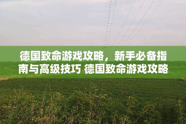 德国致命游戏攻略，新手必备指南与高级技巧 德国致命游戏攻略