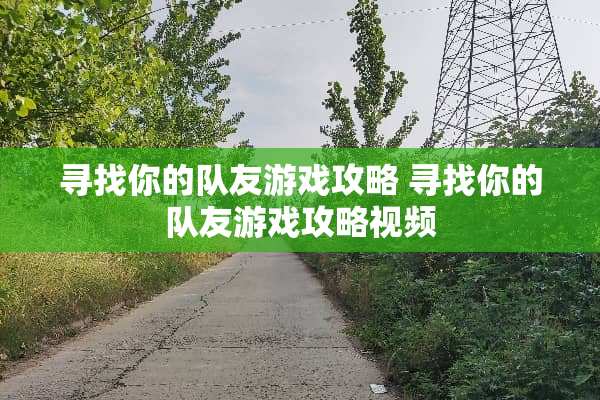 寻找你的队友游戏攻略 寻找你的队友游戏攻略视频