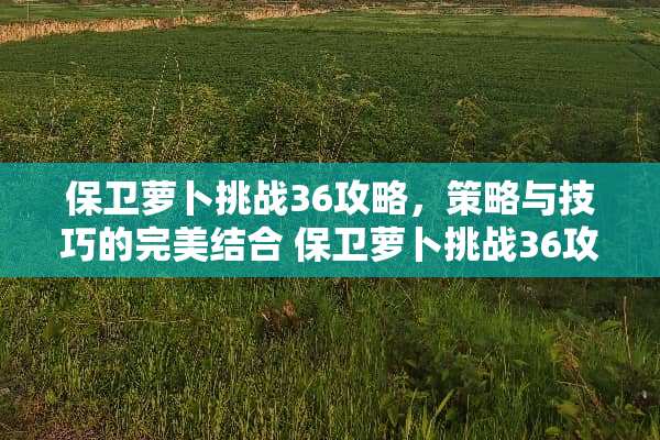 保卫萝卜挑战36攻略，策略与技巧的完美结合 保卫萝卜挑战36攻略