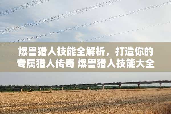 爆兽猎人技能全解析，打造你的专属猎人传奇 爆兽猎人技能大全