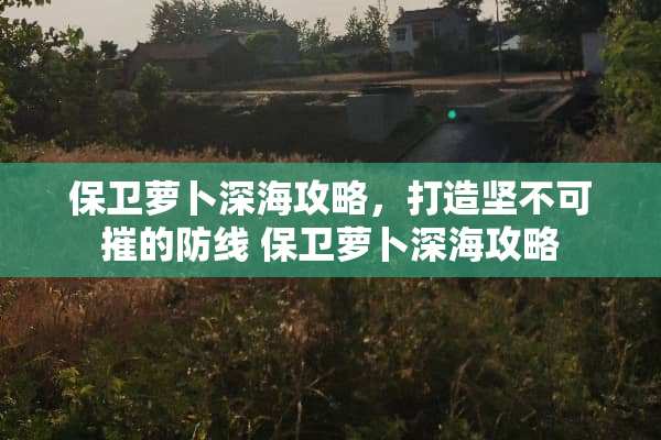 保卫萝卜深海攻略，打造坚不可摧的防线 保卫萝卜深海攻略