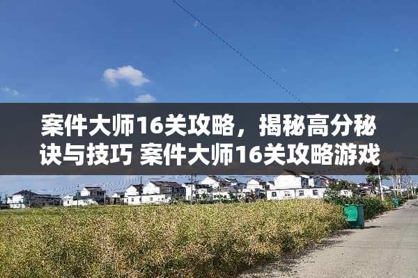 案件大师16关攻略，揭秘高分秘诀与技巧 案件大师16关攻略游戏