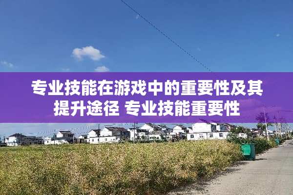 专业技能在游戏中的重要性及其提升途径 专业技能重要性