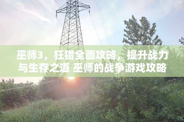 巫师3，狂猎全面攻略，提升战力与生存之道 巫师的战争游戏攻略