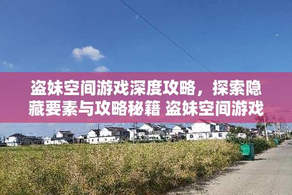 盗妹空间游戏深度攻略，探索隐藏要素与攻略秘籍 盗妹空间游戏攻略