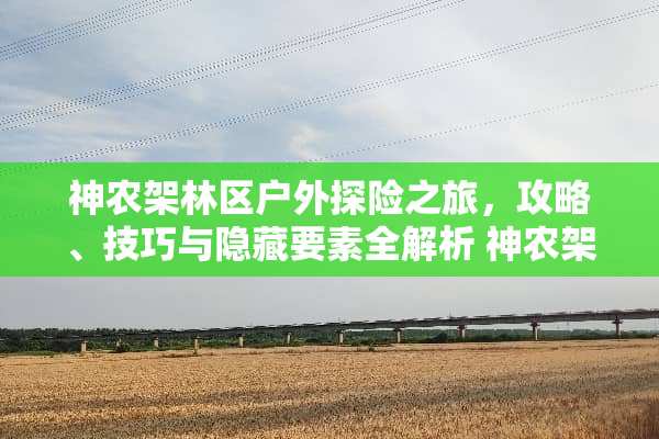 神农架林区户外探险之旅，攻略、技巧与隐藏要素全解析 神农架攻略游戏