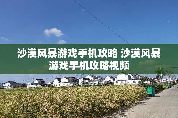 沙漠风暴游戏手机攻略 沙漠风暴游戏手机攻略视频