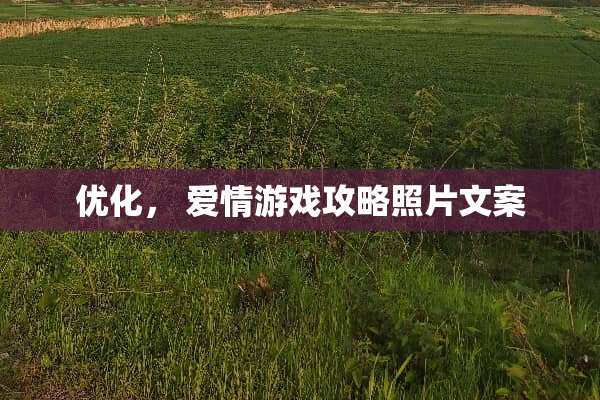 优化， 爱情游戏攻略照片文案