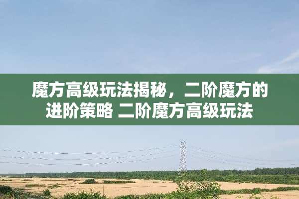 魔方高级玩法揭秘，二阶魔方的进阶策略 二阶魔方高级玩法