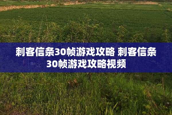 刺客信条30帧游戏攻略 刺客信条30帧游戏攻略视频