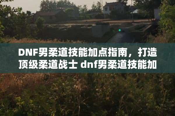DNF男柔道技能加点指南，打造**柔道战士 dnf男柔道技能加点