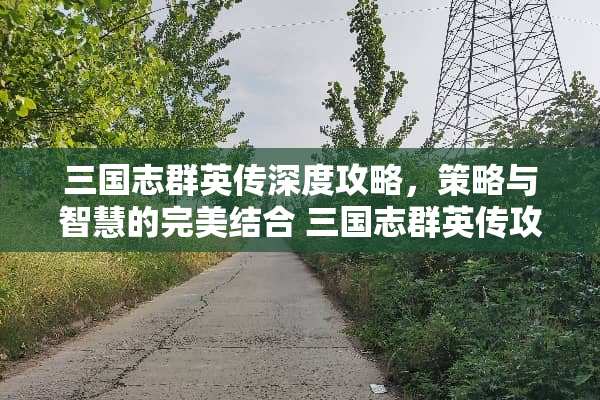 三国志群英传深度攻略，策略与智慧的完美结合 三国志群英传攻略