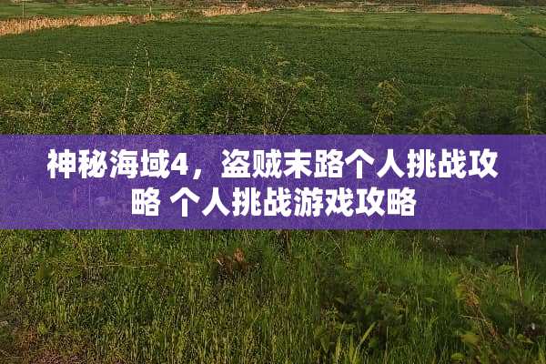 神秘海域4，盗贼末路个人挑战攻略 个人挑战游戏攻略