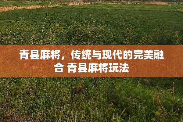 青县**，传统与现代的完美融合 青县**玩法