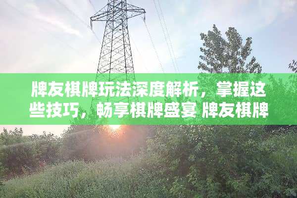 牌友**玩法深度解析，掌握这些技巧，畅享**盛宴 牌友**玩法