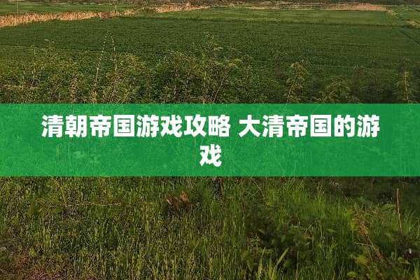 清朝帝国游戏攻略 大清帝国的游戏