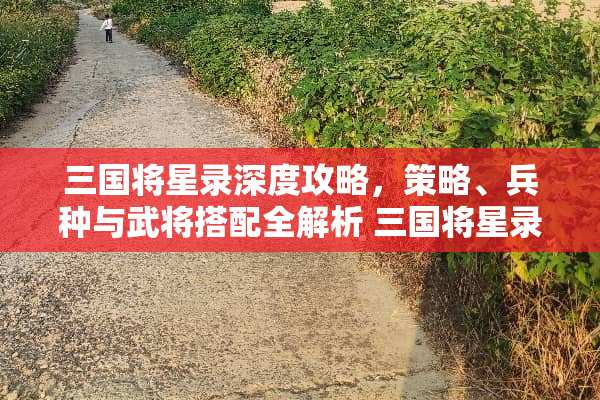 三国将星录深度攻略，策略、兵种与武将搭配全解析 三国将星录攻略
