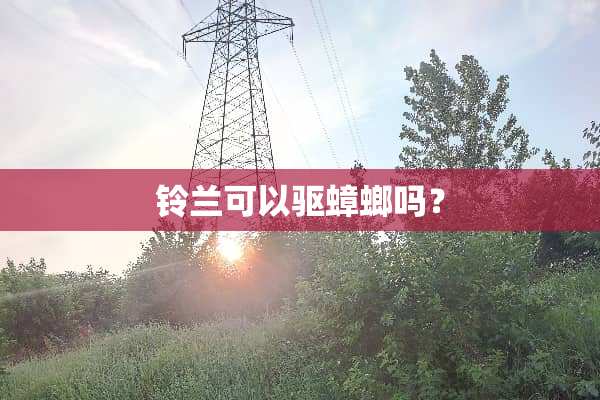 铃兰可以驱蟑螂吗？