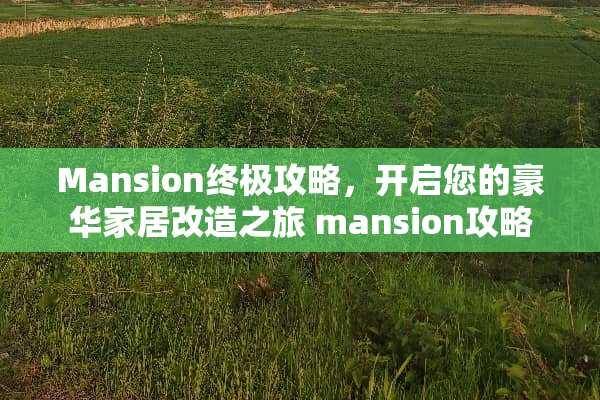 Mansion终极攻略，开启您的豪华家居改造之旅 mansion攻略