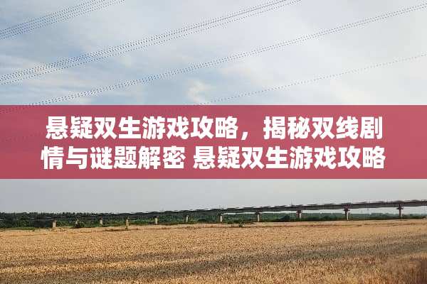 悬疑双生游戏攻略，揭秘双线剧情与谜题解密 悬疑双生游戏攻略