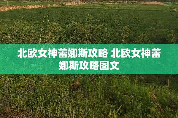 北欧女神蕾娜斯攻略 北欧女神蕾娜斯攻略图文
