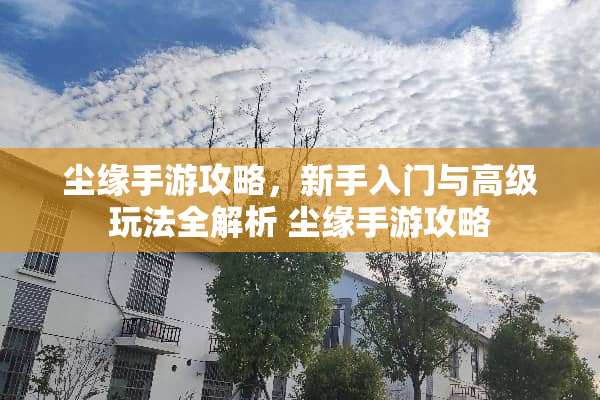 尘缘手游攻略，新手入门与高级玩法全解析 尘缘手游攻略