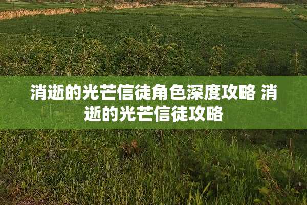 消逝的光芒信徒角色深度攻略 消逝的光芒信徒攻略
