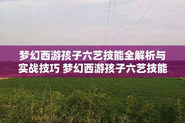 梦幻西游孩子六艺技能全解析与实战技巧 梦幻西游孩子六艺技能