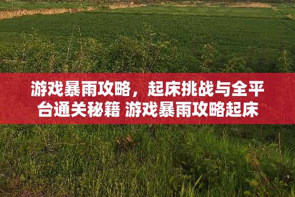 游戏暴雨攻略，起床挑战与全平台通关秘籍 游戏暴雨攻略起床