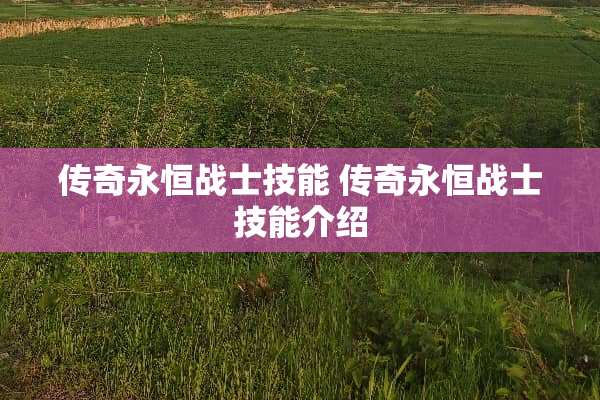 传奇永恒战士技能 传奇永恒战士技能介绍