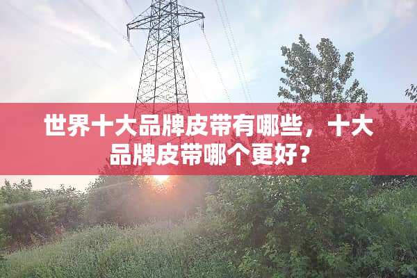 世界十大品牌皮带有哪些，十大品牌皮带哪个更好？