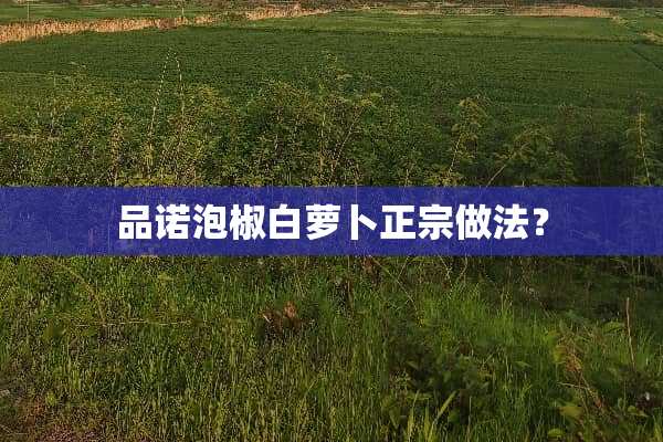 品诺泡椒白萝卜正宗做法？