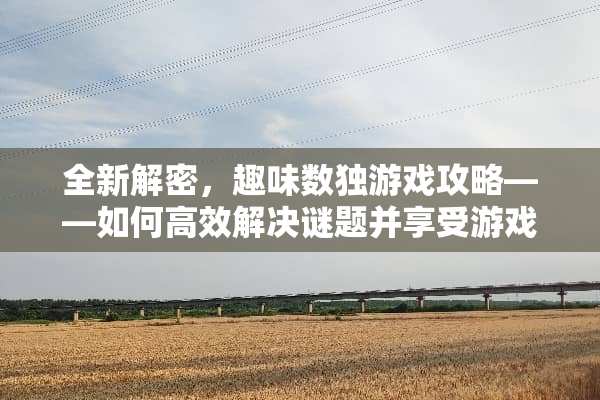 全新解密，趣味数独游戏攻略——如何高效解决谜题并享受游戏乐趣 趣味数独游戏攻略
