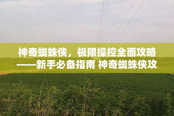 神奇蜘蛛侠，极限操控全面攻略——新手必备指南 神奇蜘蛛侠攻略