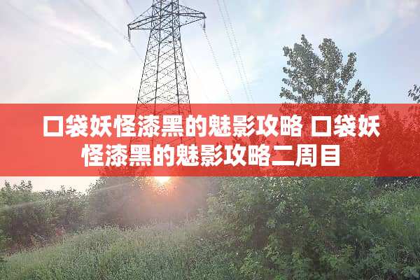口袋妖怪漆黑的魅影攻略 口袋妖怪漆黑的魅影攻略二周目