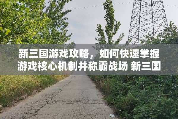 新三国游戏攻略，如何快速掌握游戏核心机制并称霸战场 新三国游戏攻略