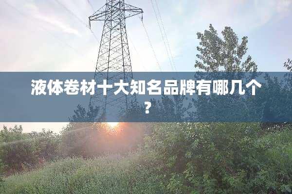 液体卷材十大知名品牌有哪几个？