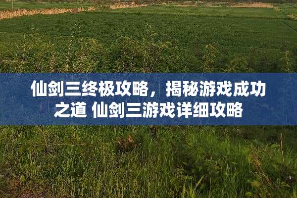 仙剑三终极攻略，揭秘游戏成功之道 仙剑三游戏详细攻略