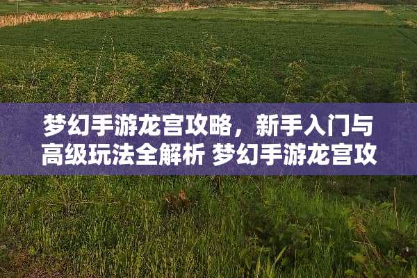 梦幻手游龙宫攻略，新手入门与高级玩法全解析 梦幻手游龙宫攻略