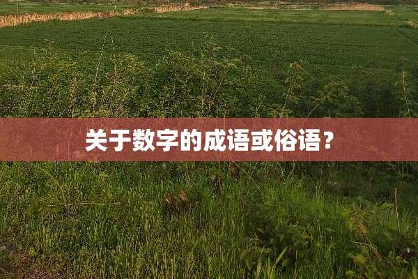 关于数字的成语或俗语？