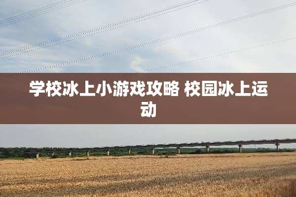 学校冰上小游戏攻略 校园冰上运动
