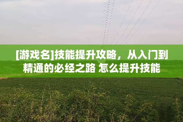 [游戏名]技能提升攻略，从入门到精通的必经之路 怎么提升技能