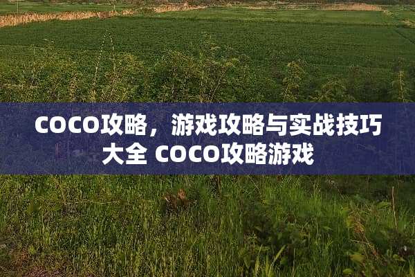 COCO攻略，游戏攻略与实战技巧大全 COCO攻略游戏