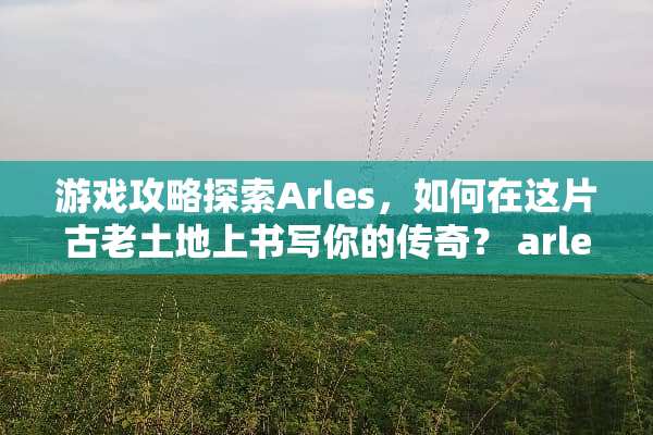 游戏攻略探索Arles，如何在这片古老土地上书写你的传奇？ arles攻略