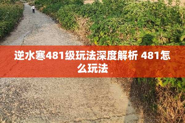 逆水寒481级玩法深度解析 481怎么玩法